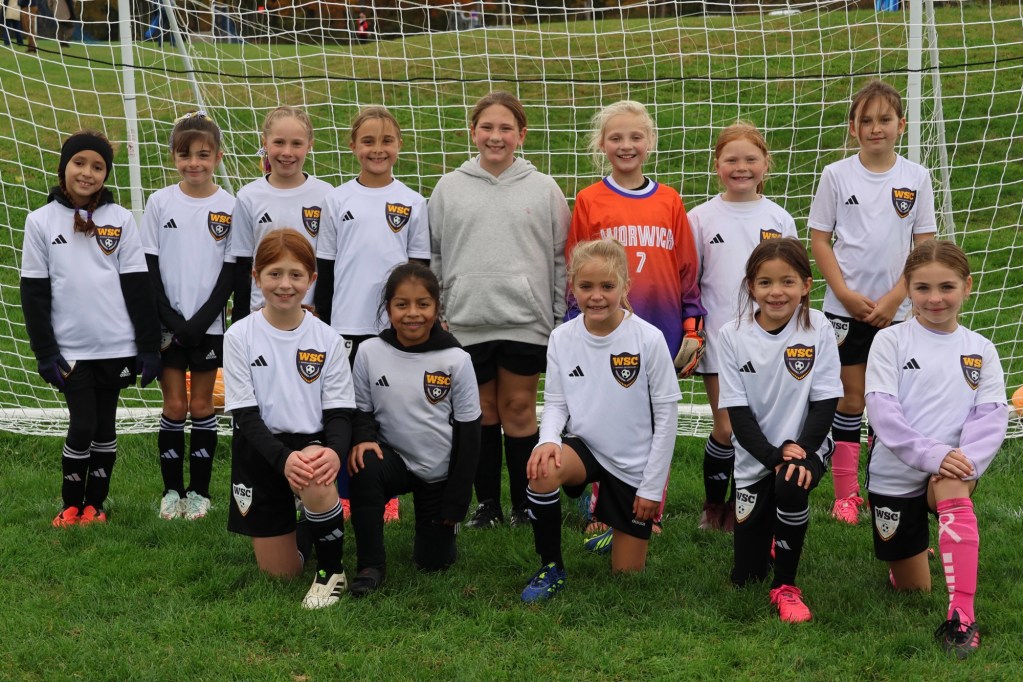 A group of girls posing for a team photo in soccer uniforms, standing in front of a goal net on a grassy field.